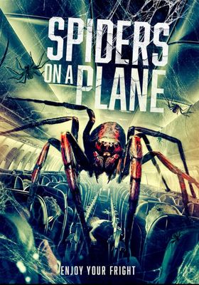 spiders-on-a-plane