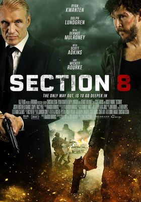 section-8