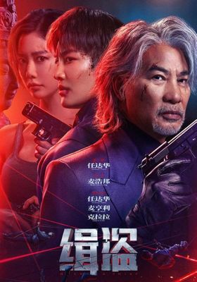 ทะลวงแผนโจร