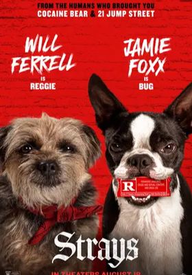 ชีวิตหมาต้องไม่หมา