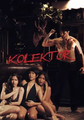 kolektor