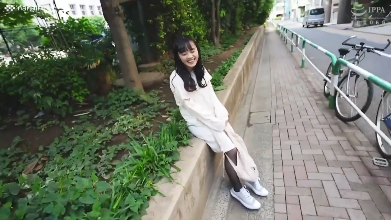 jp-441-scute-1220