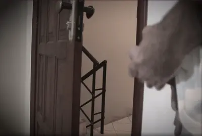 showed-the-dick-to-the-neighbor-and-she-grabbed-it.